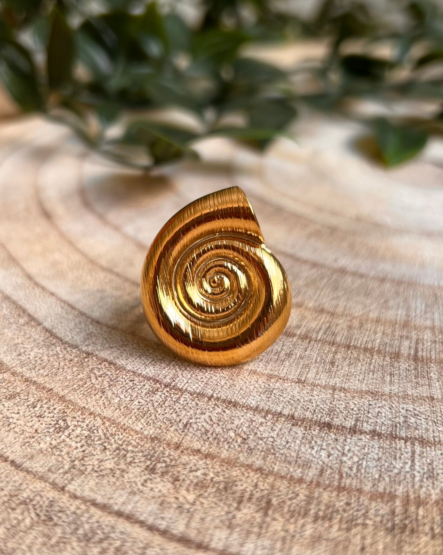 Bague Caracol